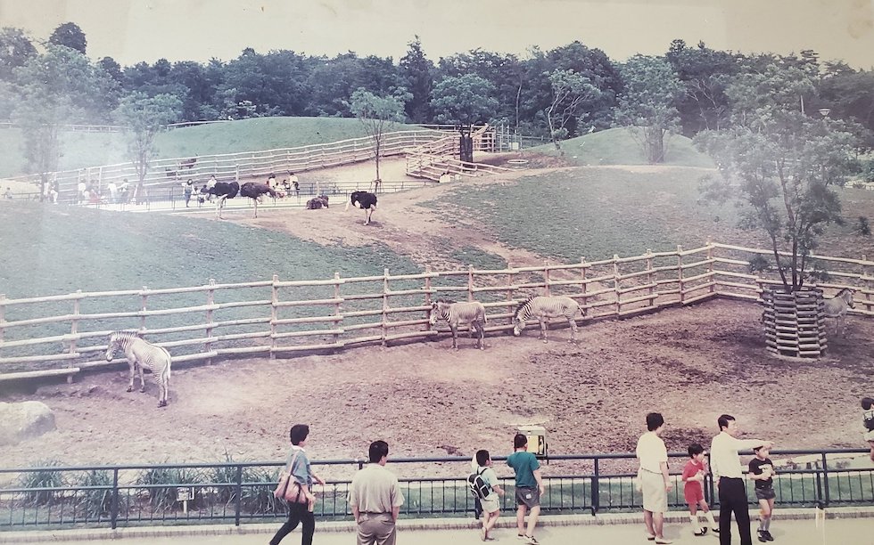 この夏は千葉市動物公園でわくわく Kiraco きらこ